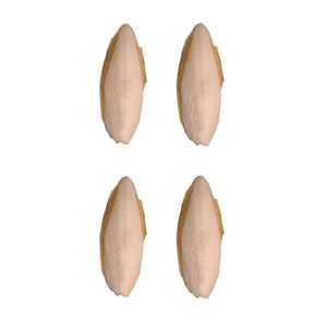 کف دریا کد 428 g وزن 28 گرم مجموعه 4 عددی